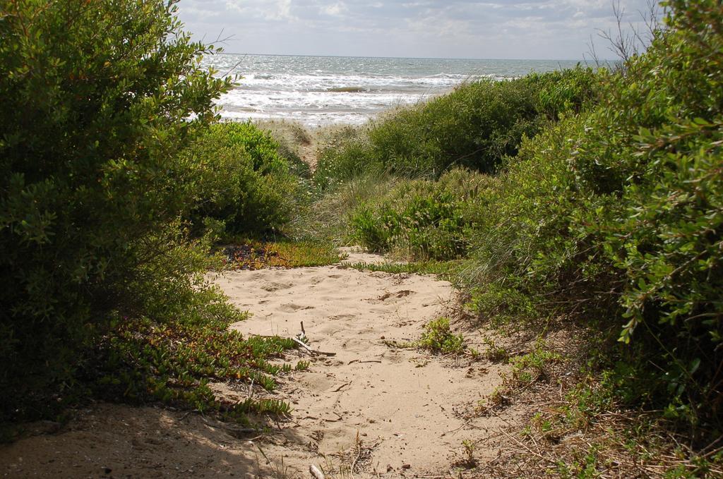 Award Winning Beach Front Retreat Frankston Luaran gambar