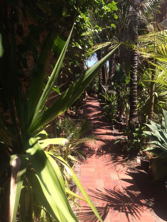 Award Winning Beach Front Retreat Frankston Luaran gambar